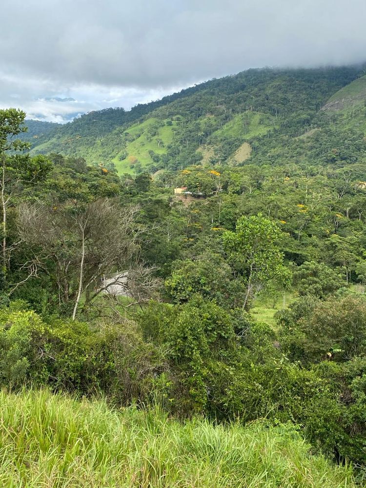 Paisaje minero esmeraldífero — el origen de la esmeralda