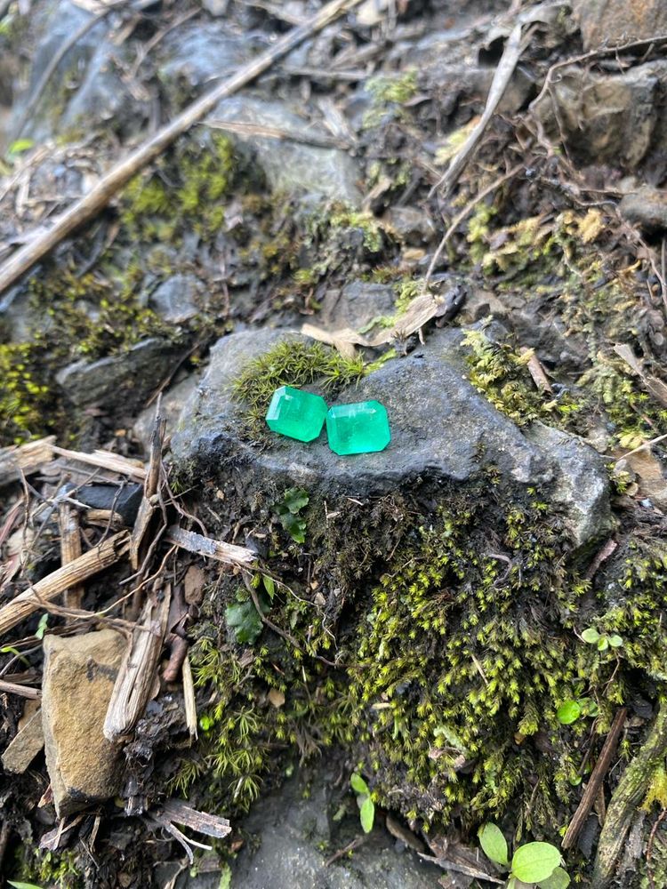 Par de esmeraldas talladas sobre piedra con musgo